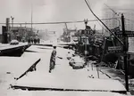 Gripping stories from people who survived the Anchorage Alaska Earthquake in 1964.