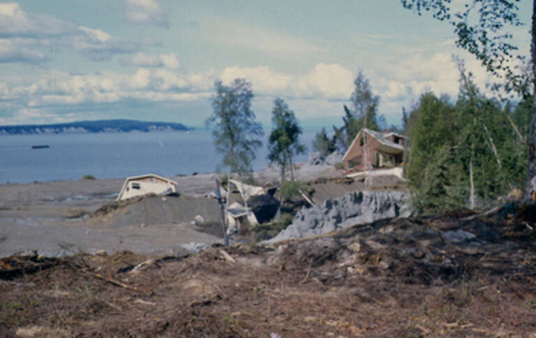 damage in turnagain
