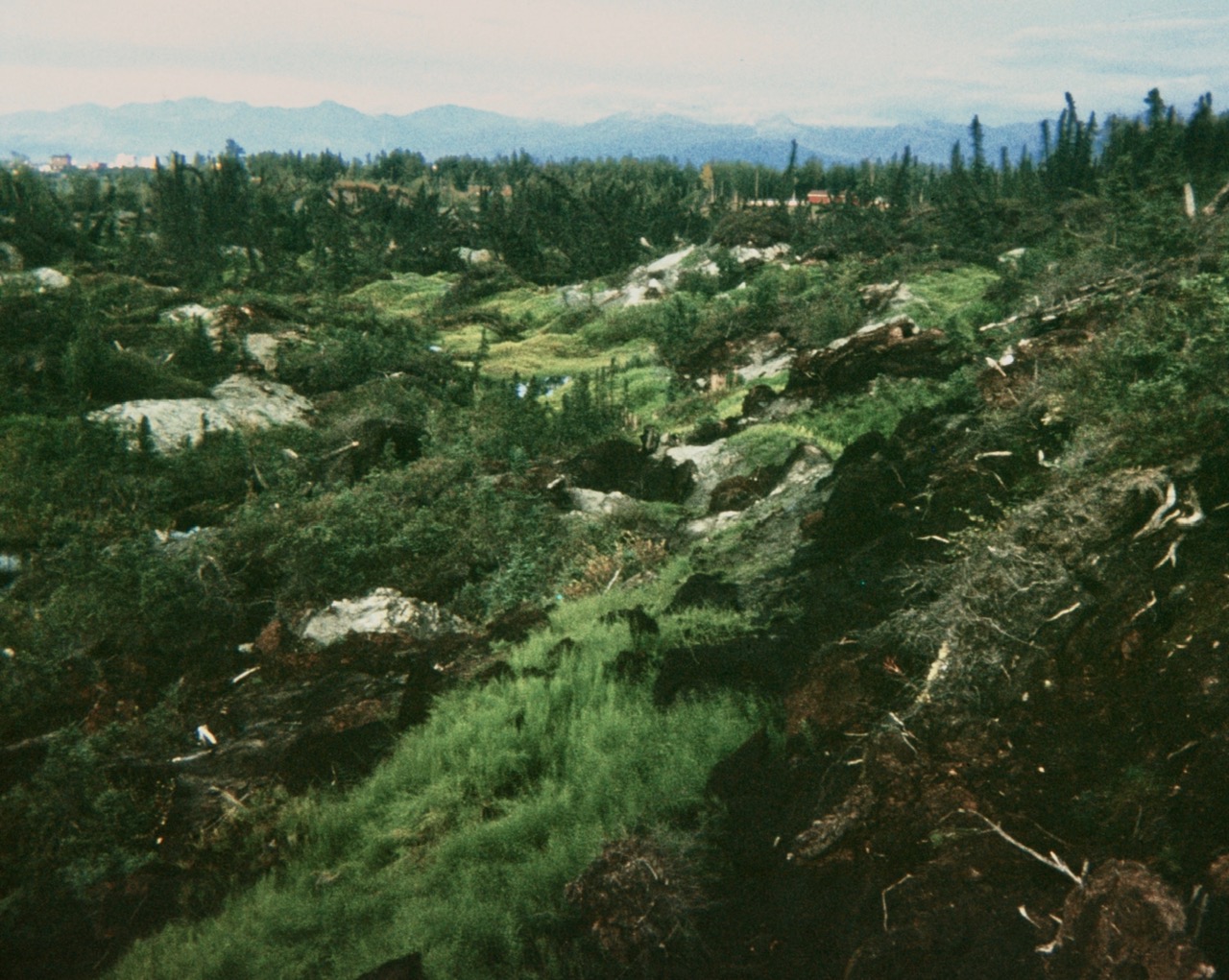 earthquake park anchorage alaska