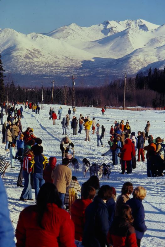 fur rendezvous sled dog races