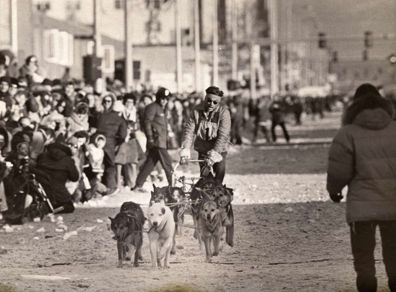 sled dog races