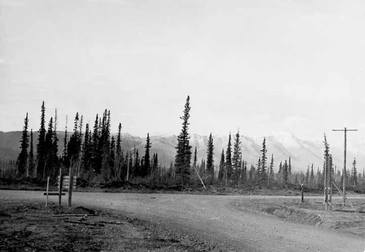Old Alaska Highway junction in 1943, near Tok Alaska. alaska highway