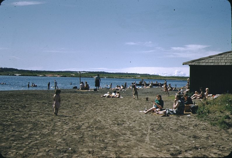 spenard lake