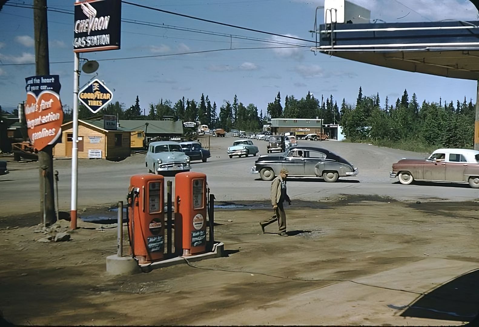 spenard 1955