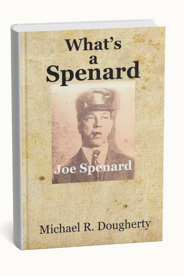 whats a spenard graphic book cover