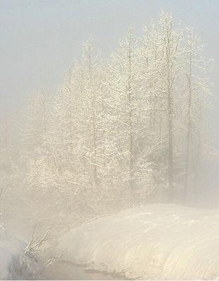 Copyright photo by Gary Minish