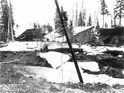 Turnagain by the Sea