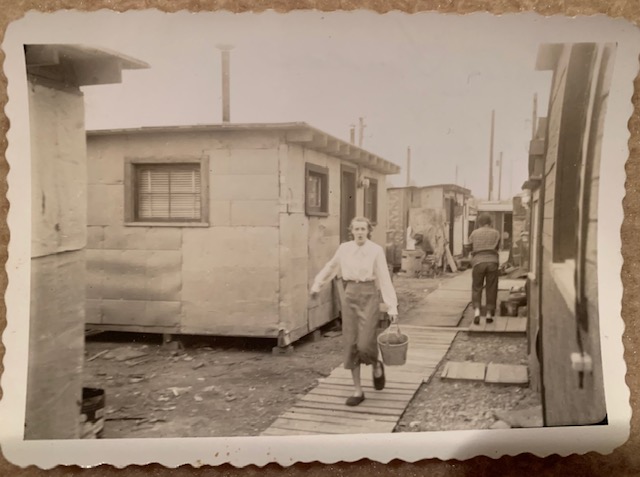 mountain view circa 1952