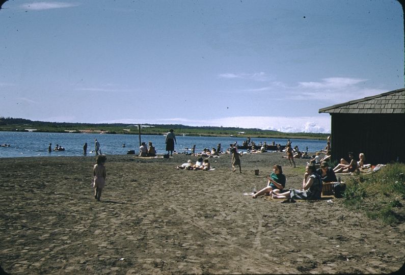 spenard lake